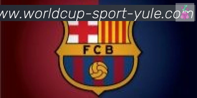 FIFA世界杯买球入口合作伙伴