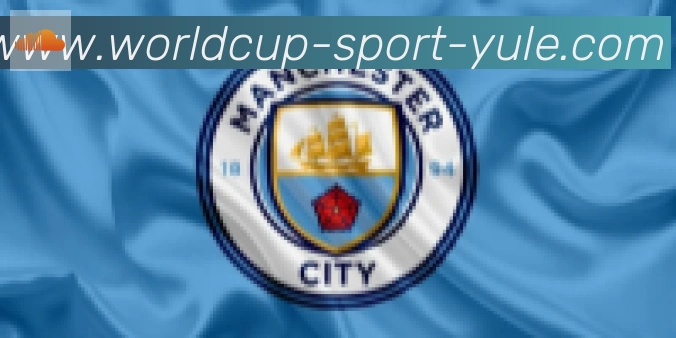 FIFA世界杯买球入口合作伙伴