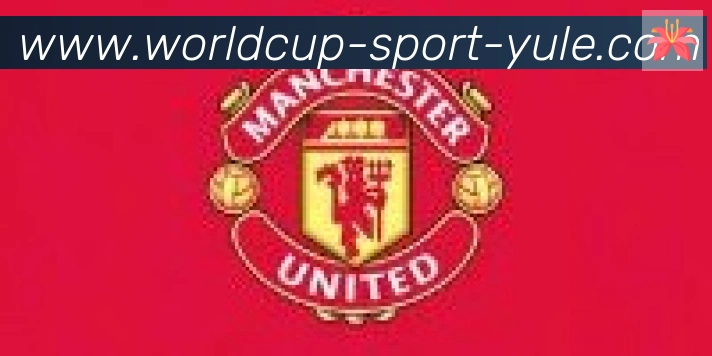 FIFA世界杯买球入口合作伙伴